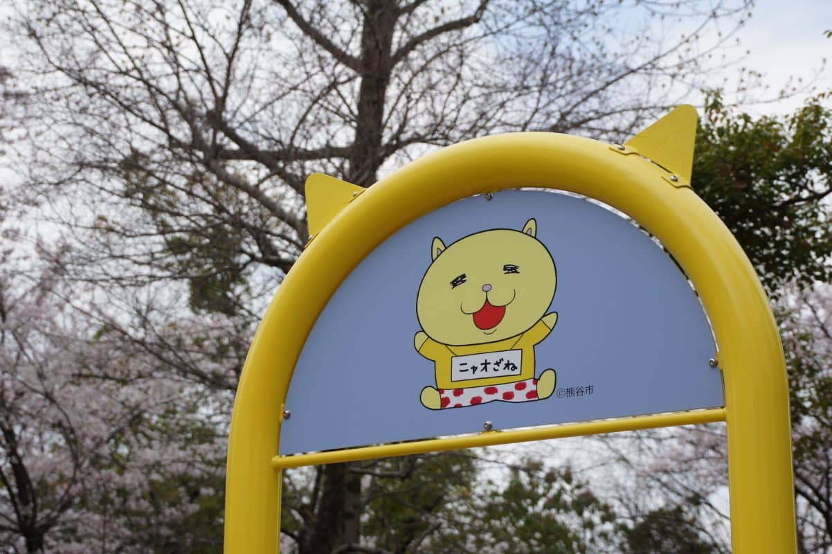 埼玉県熊谷市中央公園パワースケープ複合遊具