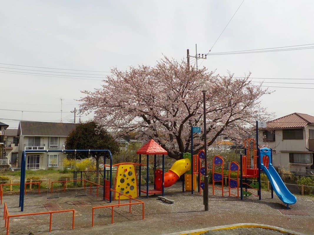 神奈川県藤沢市大鋸丸山公園複合遊具
