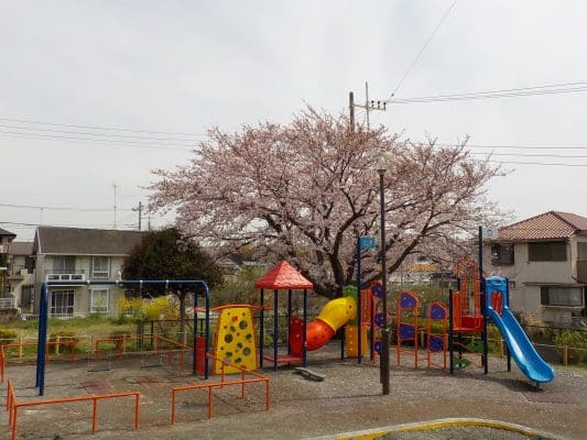 神奈川県藤沢市大鋸丸山公園複合遊具
