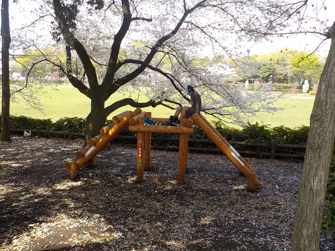 神奈川県相模原市麻溝公園木製アスレチック遊具